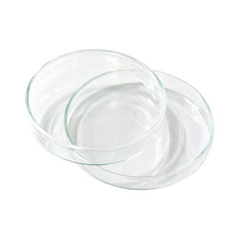 Petri Dish Borosilicate Glass Mm Dia X Mm H Perth Scientific