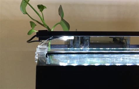 Aquarium hood: why it important, the bestsellers, and installation