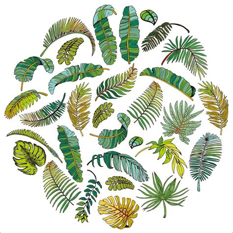 Premium Vector Watercolor Tropical Leaves