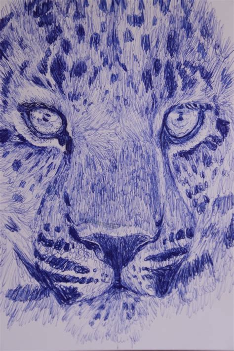 Amur Leopard Sketch With Ballpoint Pen Zoochat