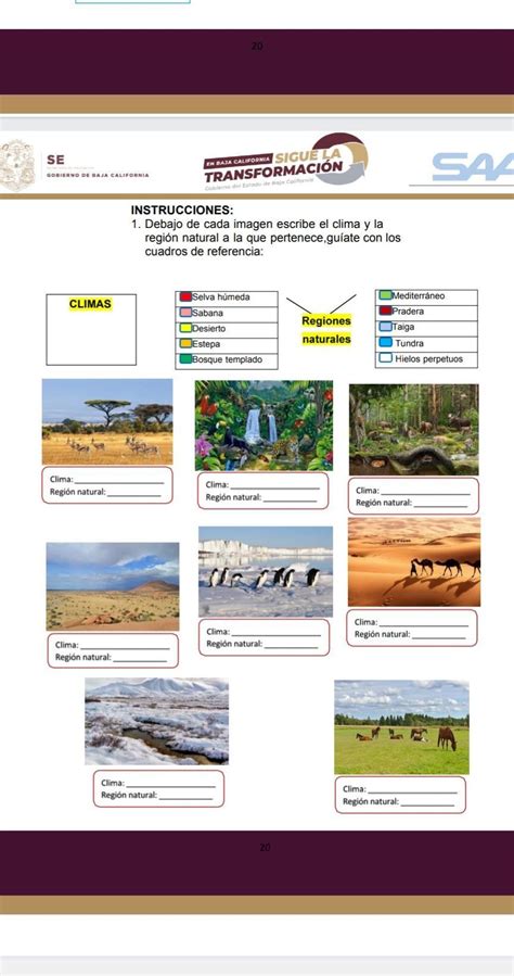 Debajo De Cada Imagen Escribe El Clima Y La Regi N Natural Ala Que