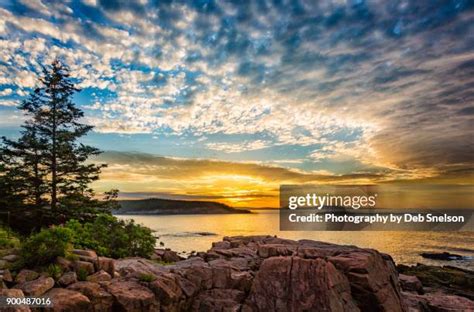 292 Acadia National Park Sunrise Stock Photos, High-Res Pictures, and ...