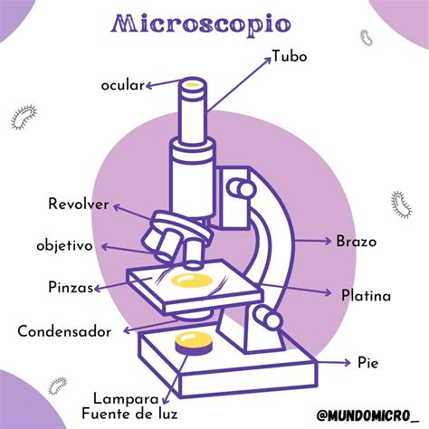 Microbiolog A Imagenes De Microscopio Microscopio Dibujo