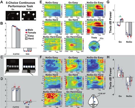 Electrophysiological Biomarkers Of Behavioral Dimensions From Cross