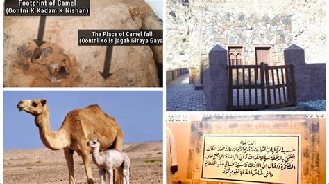 Nabi Saleh ka Roza Footprint of Camel Story of Thamoud نبی صالح روضه