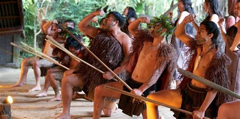 Mitai Maori Cultural Experience Tours Rotorua Everything New Zealand