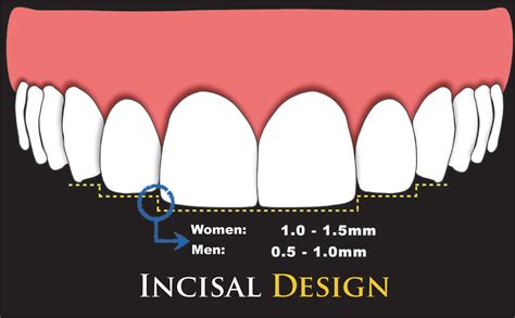 Scielo Brasil 10 Commandments Of Smile Esthetics 10 Commandments Of