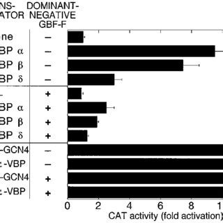 Inhibition Of C Ebp Transactivation By Gbf F A Schematic