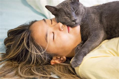 How To Make My Cat Sleep Better At Jesus Robinson Blog