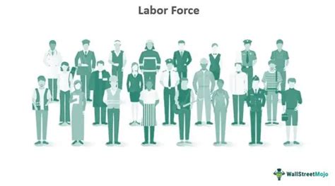 Labor Force Definition Formula Example Calculations