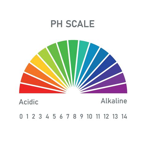 escala de ph para soluções ácidas e alcalinas equilíbrio ácido base