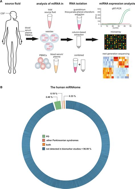 Frontiers Circulating Mirnas As Diagnostic Biomarkers For Parkinsons