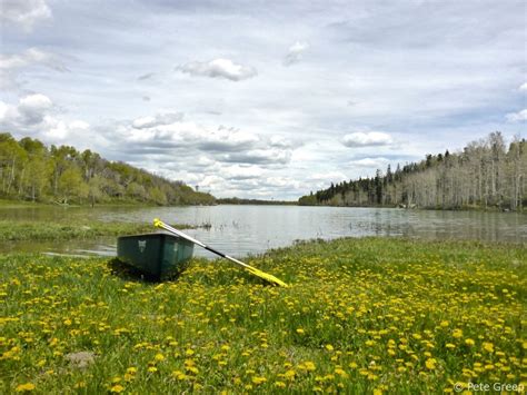 Relaxing at Kolob Reservoir, Utah