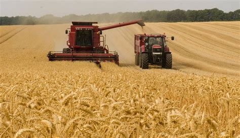 Los Agricultores Y Ganaderos De Castilla Y Le N Perciben Millones