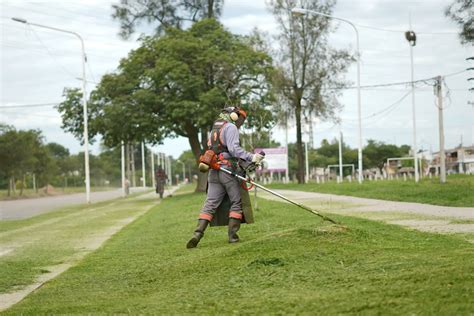 Reconstrucción del área de Espacios Verdes