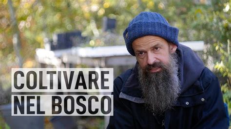 L UOMO Che COLTIVA Nel BOSCO La Scoscesa Di Lorenzo Costa YouTube