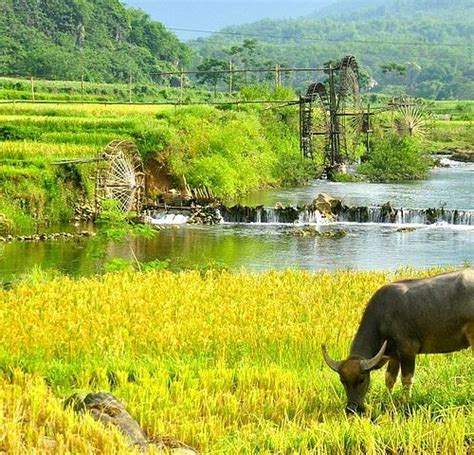 THE 15 BEST Things to Do in Nghe An Province - UPDATED 2021 - Must See ...