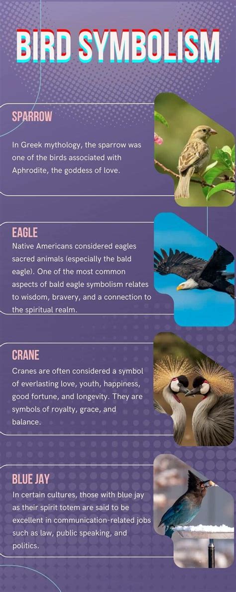 Bird Symbolism Common Birds And Their Spiritual Meaning Legit Ng