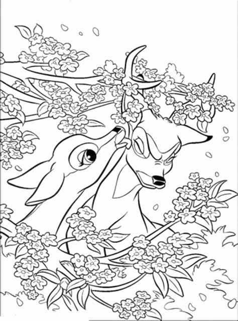 Bambi Flower Coloring Pages Clip Art Library