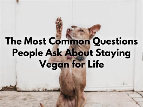 The Most Common Questions About Staying Vegan For Life