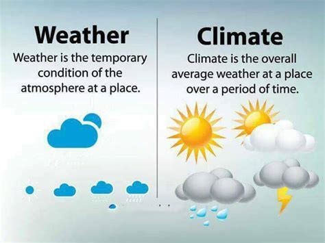 13 Differences That Will Enhance Your Knowledge