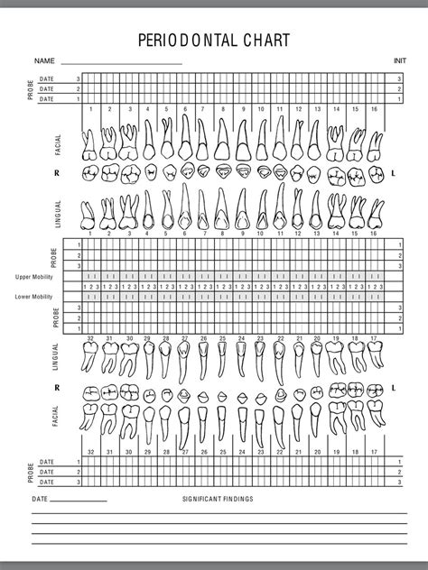 Printable Tooth Chart Full Sheet - Printable JD