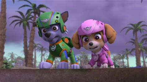 Paw Patrol A Scene Rocky Skye Paw Patrol Photo