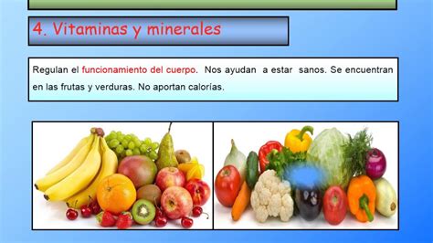 Tipos De Nutrientes