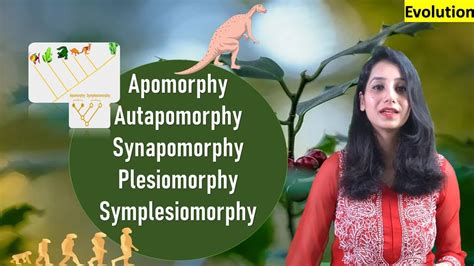 APOMORPHY AUTAPOMORPHY SYNAPOMORPHY PLESIOMORPHY SYMPLESIOMORPHY ...