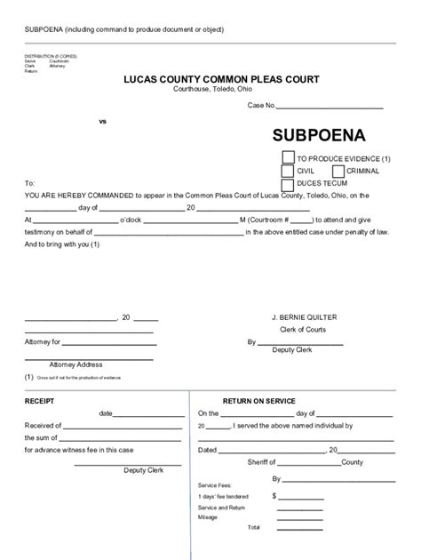 Subpoena Lucas Fill Out Sign Online DocHub