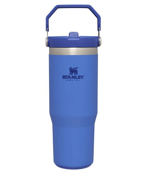 Stanley S Popular IceFlow Tumbler Now Comes In Six New Colors The Kitchn