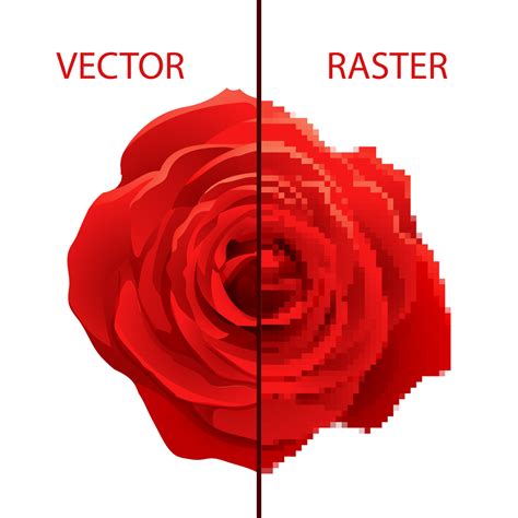 Czym różni się grafika rastrowa od wektorowej