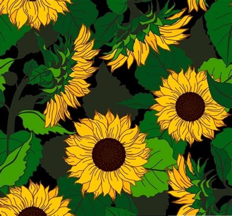 Sunflower Black Organic Fabrics Organic Cotton Fabric Sunflower