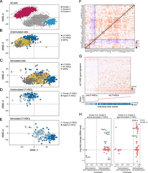 Single Cell Rna Sequencing Reveals Heterogeneity In The Hematopoietic Download Scientific