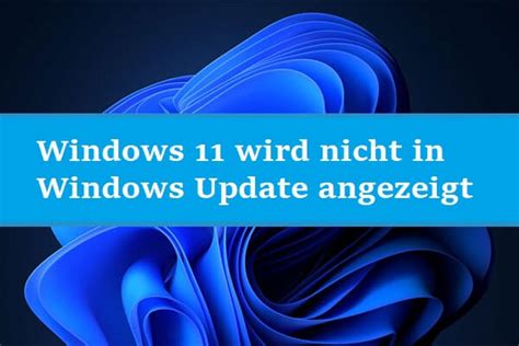 Windows Wird Nicht In Windows Update Angezeigt L Sungen Minitool