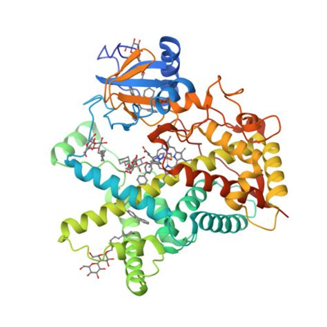 RCSB PDB 2BDM Structure Of Cytochrome P450 2B4 With Bound Bifonazole