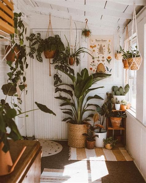 Pin By Kabubi On Plants Room With Plants Home Interior Design Cozy