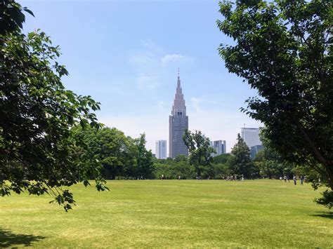 Visiting Shinjuku Gyoen National Garden in Tokyo - All You Need To Know ...