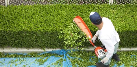 Manutenzione Giardini Giardiniere Milano It