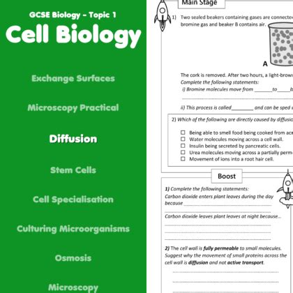 Diffusion Home Learning Worksheet GCSE Rocketsheets Co Uk