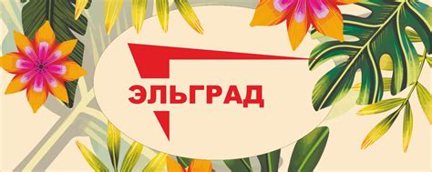 ЭЛЬГРАД ЭЛЕКТРОСТАЛЬ | ⏰ с 10:00 до 22:00 магазины одежды, обуви ...
