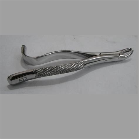 Extracting Forceps American Pattern Fig L Murree Corporation