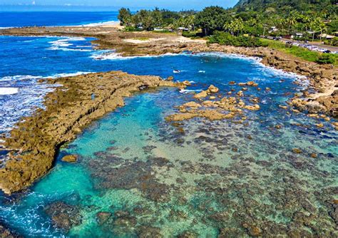 Top Best Things To Do On North Shore Oahu Is A Shocking Must