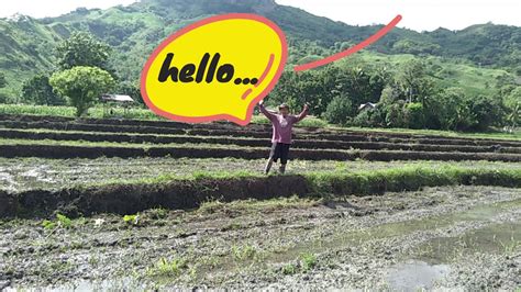 RICE TERRACES LAND PREPARATION (Phase 1) Taga BUKID Vlog By: ERIC GUMAPAC - YouTube