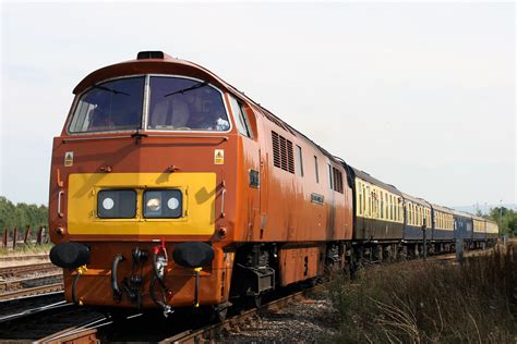 D1015 Western Champion The Diesel Traction Group S Prese Flickr