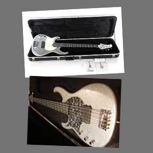 Bajista De Red Hot Chili Peppers FLEA Bajos Bio Estilo