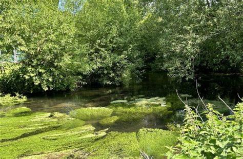 Projects Chalk Streams Chalk Streams