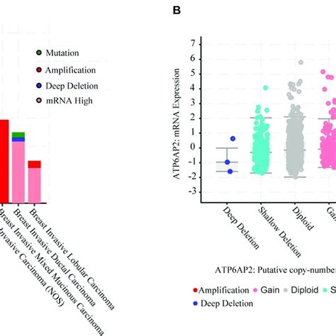 Genomic Alterations Of ATP6AP2 In Breast Cancer CBioPortal A