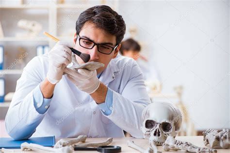 Profesor Estudiando Esqueleto Humano En Laboratorio 2023