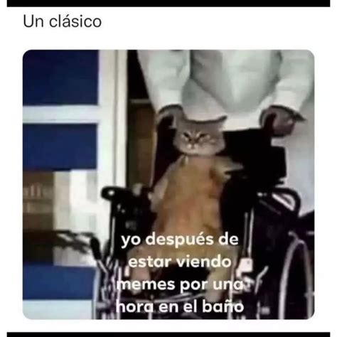 Un Cl Sico Yo Despu S De Estar Viendo Memes Por Una Hora En El Ba O